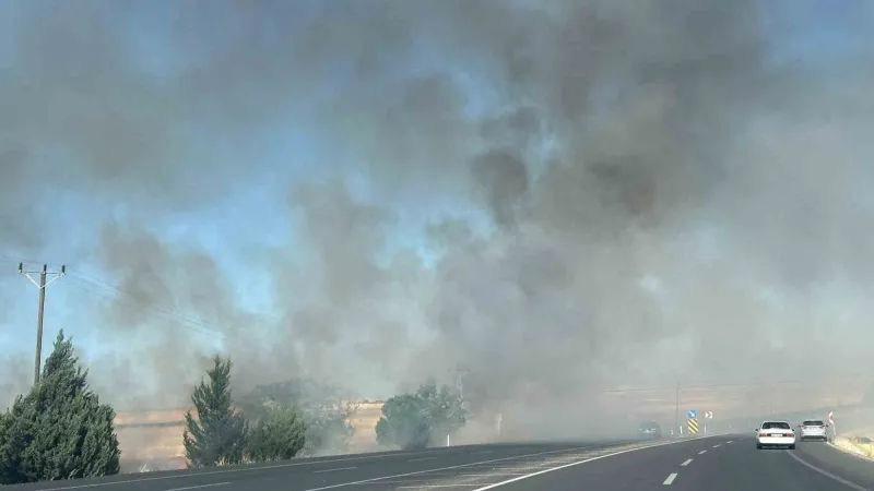 Adıyaman'da Anız Yangını! Samanlar Alevlere Teslim Oldu!