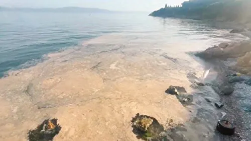 Arıtma çözülemedikçe müsilaj var olacak