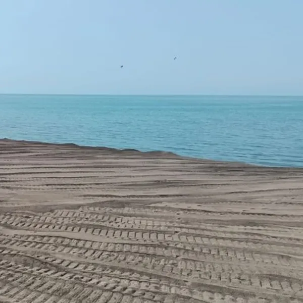 Denize girmek yasaklandı!