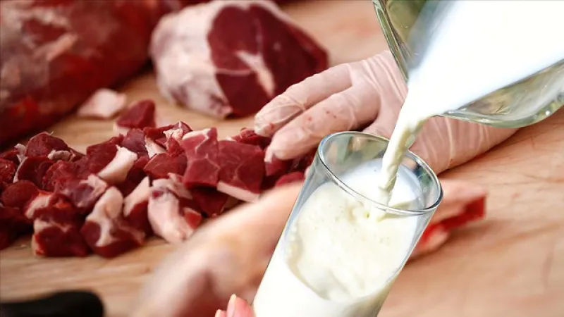Et ve süt ürünlerine karşı alerji yapan hastalık dünyaya yayılıyor