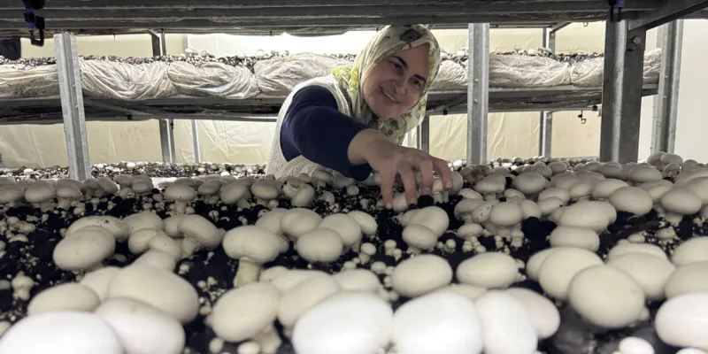 Ev Hanımı Girişimci! 12 Milyonluk Yatırımla Hayalleri Gerçekleştirdi