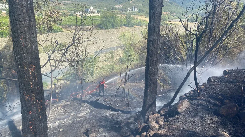 Hatay'da korkutan orman yangını