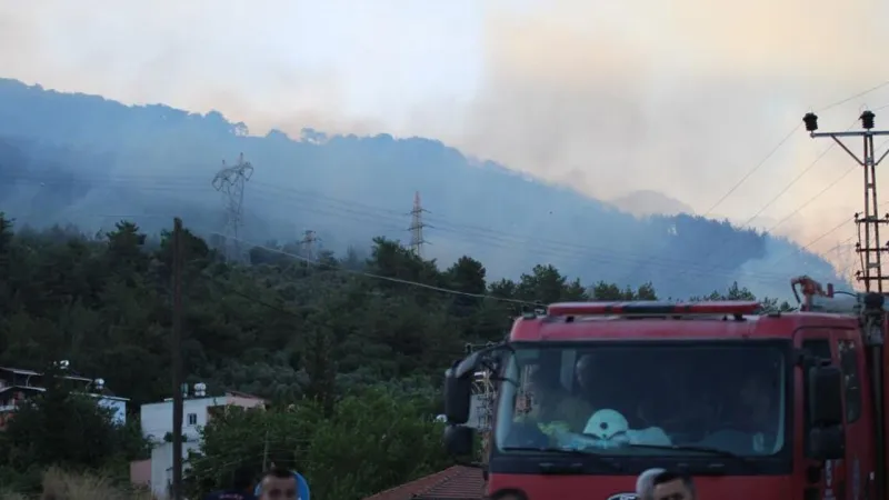 Hatay Dörtyol'da Orman Yangını: Helikopterler Devrede!