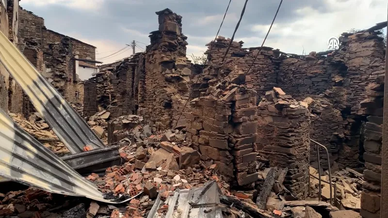 İspanya'da yangının yol açtığı tahribat görenleri şoke etti