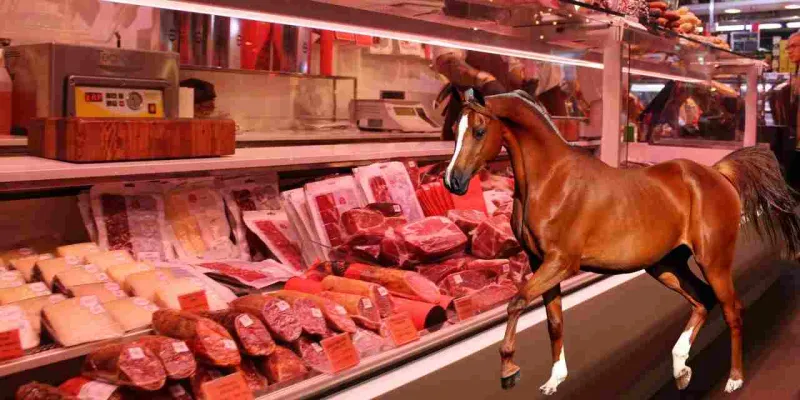 At Eti Tuzağı: Marketten Aldığınız Et Gerçekten Dana mı? İşte İşareti!
