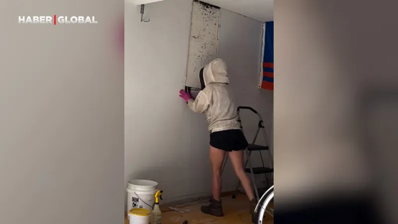 Duvarın Ardındaki Sır Perdesi Aralandı! ABD'li Çift Şoke Oldu