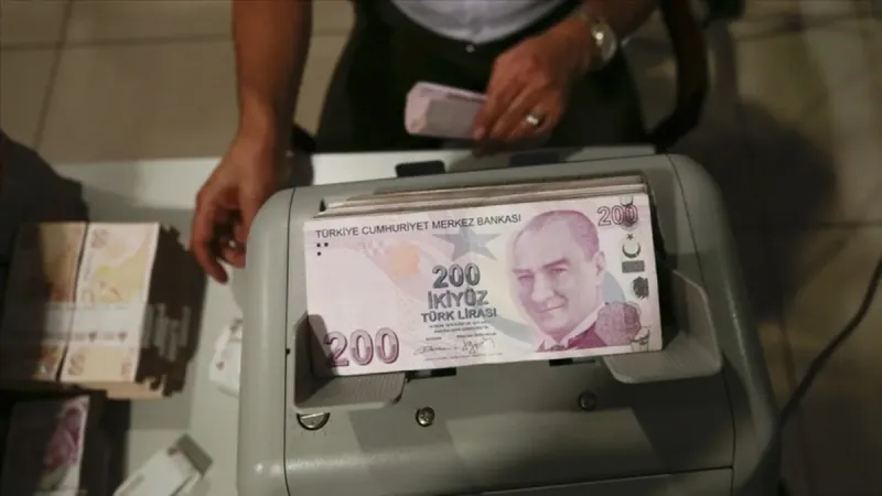 TL Mevduat Rekor Kırdı! Bankalarda Neler Oluyor?