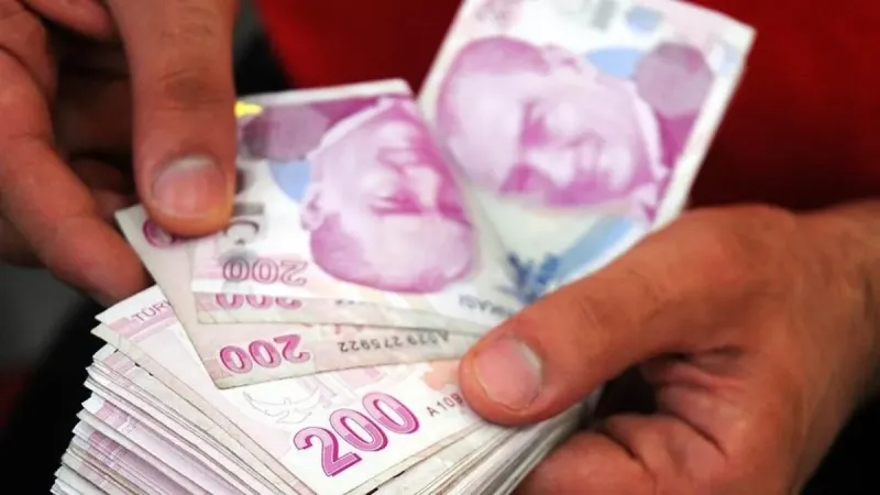TL Mevduatı Rekor Kırdı! Bankalarda Neler Oluyor?