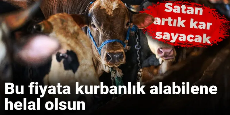 Kurbanlık Fiyatları Uçtu! Bu Fiyata Alana Helal Olsun!