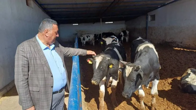 Kurbanlık Fiyatları Uçtu! Emekli ve Asgari Ücretli Nasıl Kurban Alacak?
