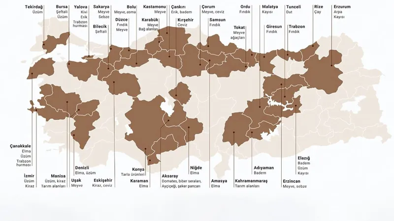 Kıtlık Kapıda Mı? Don ve Dolu Felaketi Çiftçiyi Vurdu!