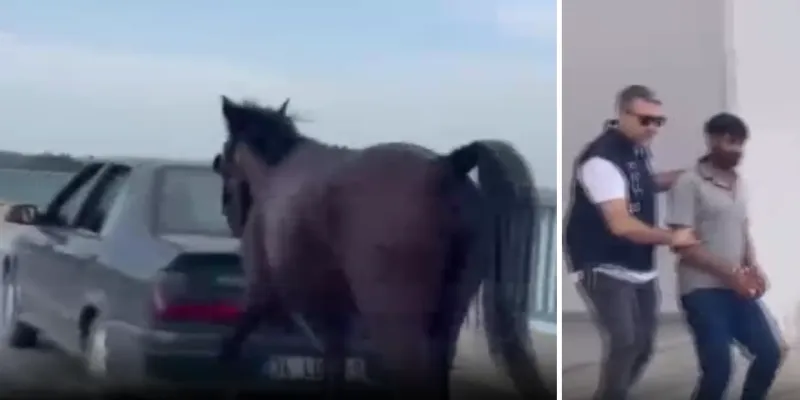 Adana'da Atı Sürükleyenlere Şok Ceza! Tutuklandılar Mı?