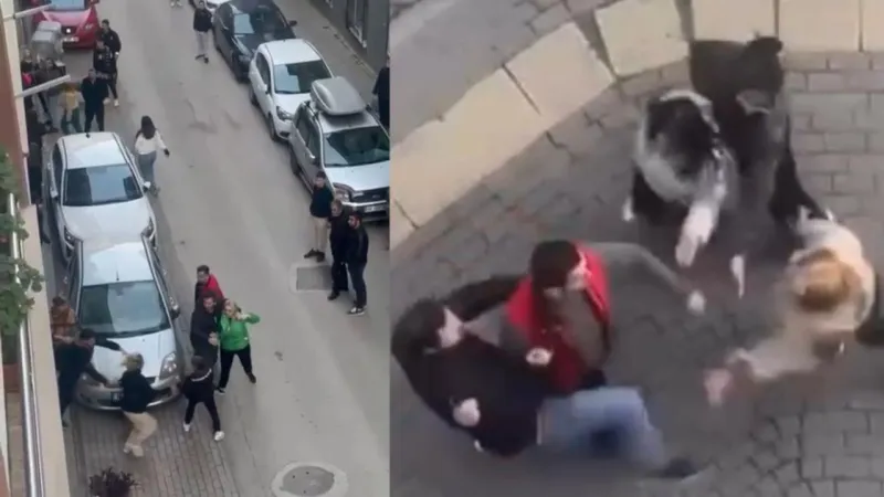 Bursa'da Kadınlar Saç Saça Kavga Etti! Mahalle Ayağa Kalktı