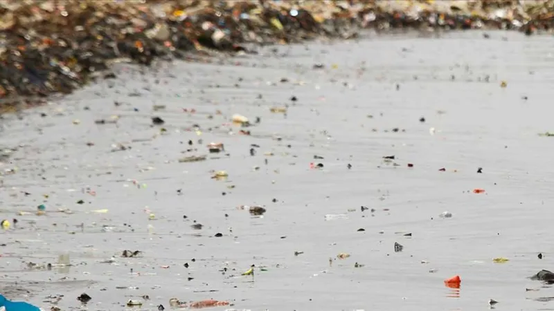 Göllerde Şok Eden Kirlilik! Mikroplastik Tehlikesi Büyüyor!
