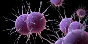 uzmanlar-uyardi-cinsel-yolla-bulasan-antibiyotige-dayanikli-bakteri-yayiliyor-ZFqsOp7v.jpg